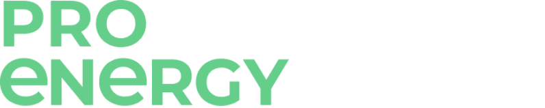 Pro Energy Logo